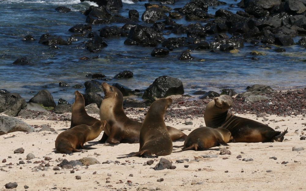 9 Things You Didn’t Know about the Galapagos Islands